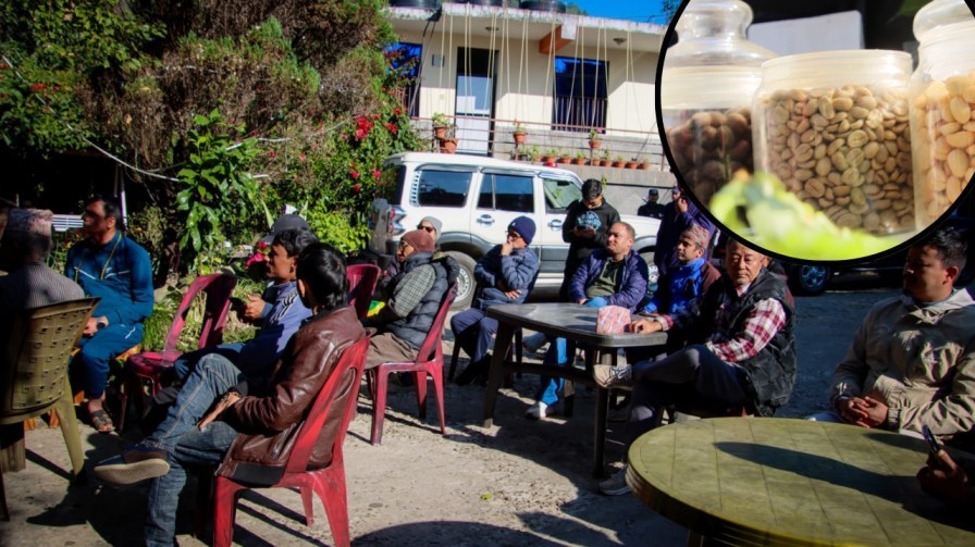कफी प्रवर्द्धनमा चौताराको उत्साह: डेमोन्स्ट्रेसनसहित २१ औँ कफी दिवस मनाइयो
