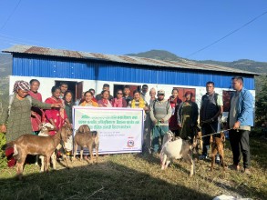 हेलम्बु–७ माहाँकालमा आर्थिक विकासका लागी बाख्रा वितरण