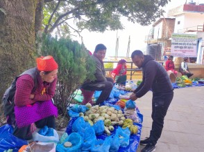 पाल्चोकी माइ कृषक हाट बजार संचालनमा