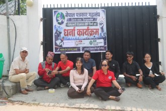 पत्रकार महासघं सिन्धपाल्चोक शाखाले धर्नासहित प्रधानमन्त्रीलाई हस्ताक्षर बुझायो
