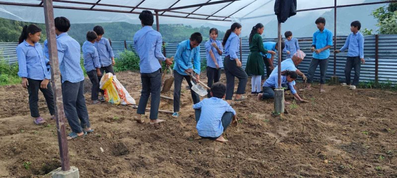 विद्यालयको अग्रसरतामा नमूना किचेन गार्डेन निर्माण